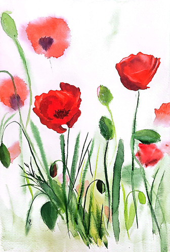 شقایق آبرنگ اثر هنرمند هاجر رضائی