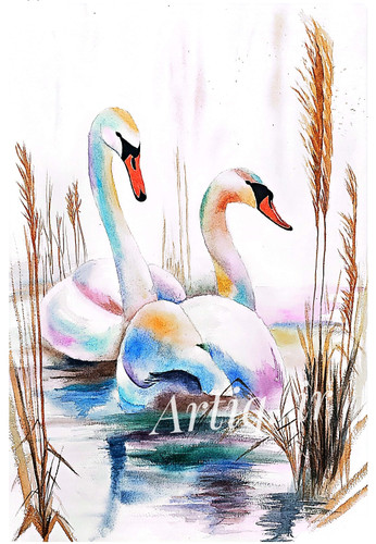 تابلو نقاشی آبرنگ قوهای عاشق اثر هنرمند هاجر رضائی