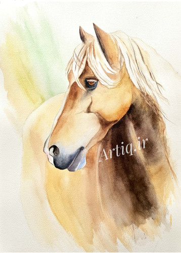 نجیب با شکوه، آبرنگ ،اثر هنرمند هاجر رضائی