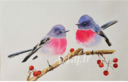 سینه سرخ آبرنگ اثر هنرمند هاجر رضائی