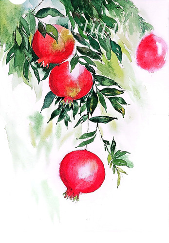 دانه های سرخ آبرنگ اثر هنرمند هاجر رضائی