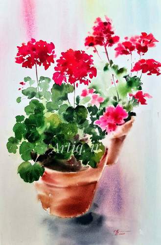 تابلو نقاشی آبرنگ، گل شمعدانی